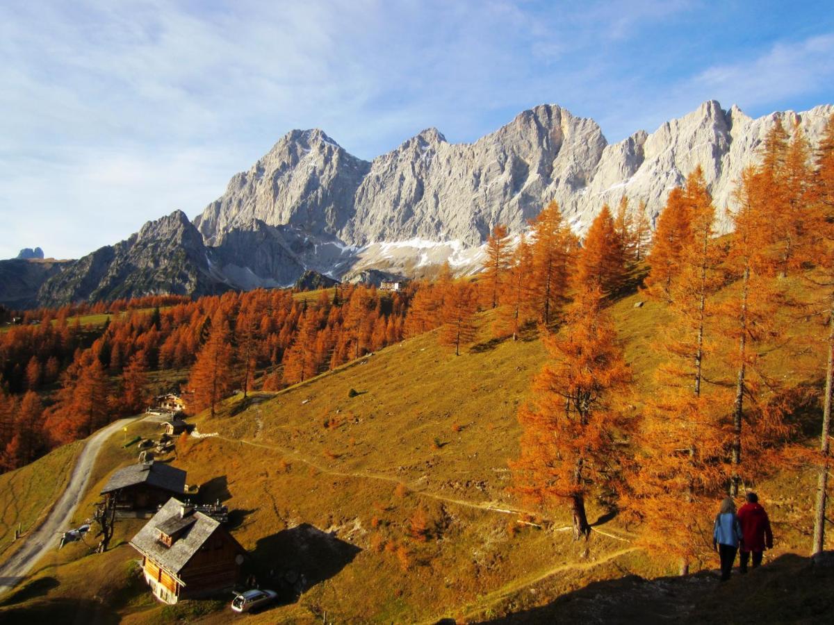 Anton * Schladming